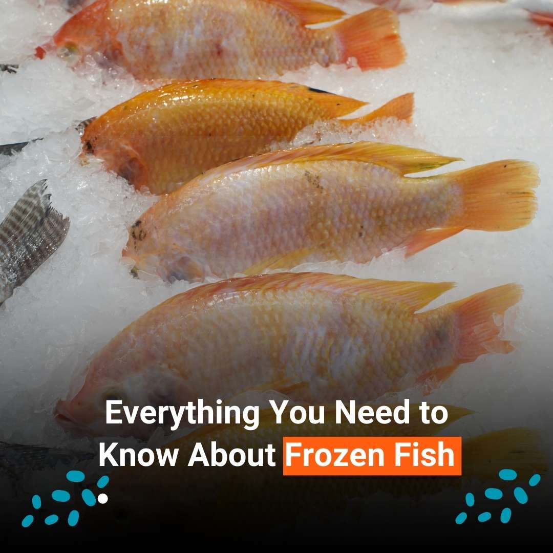 Everything You Need to Know About Frozen Fish