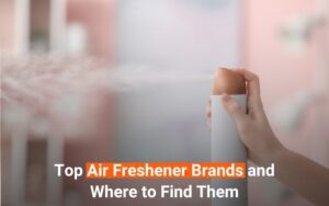 Read more about the article Top Air Freshener Brands and Where to Find Them