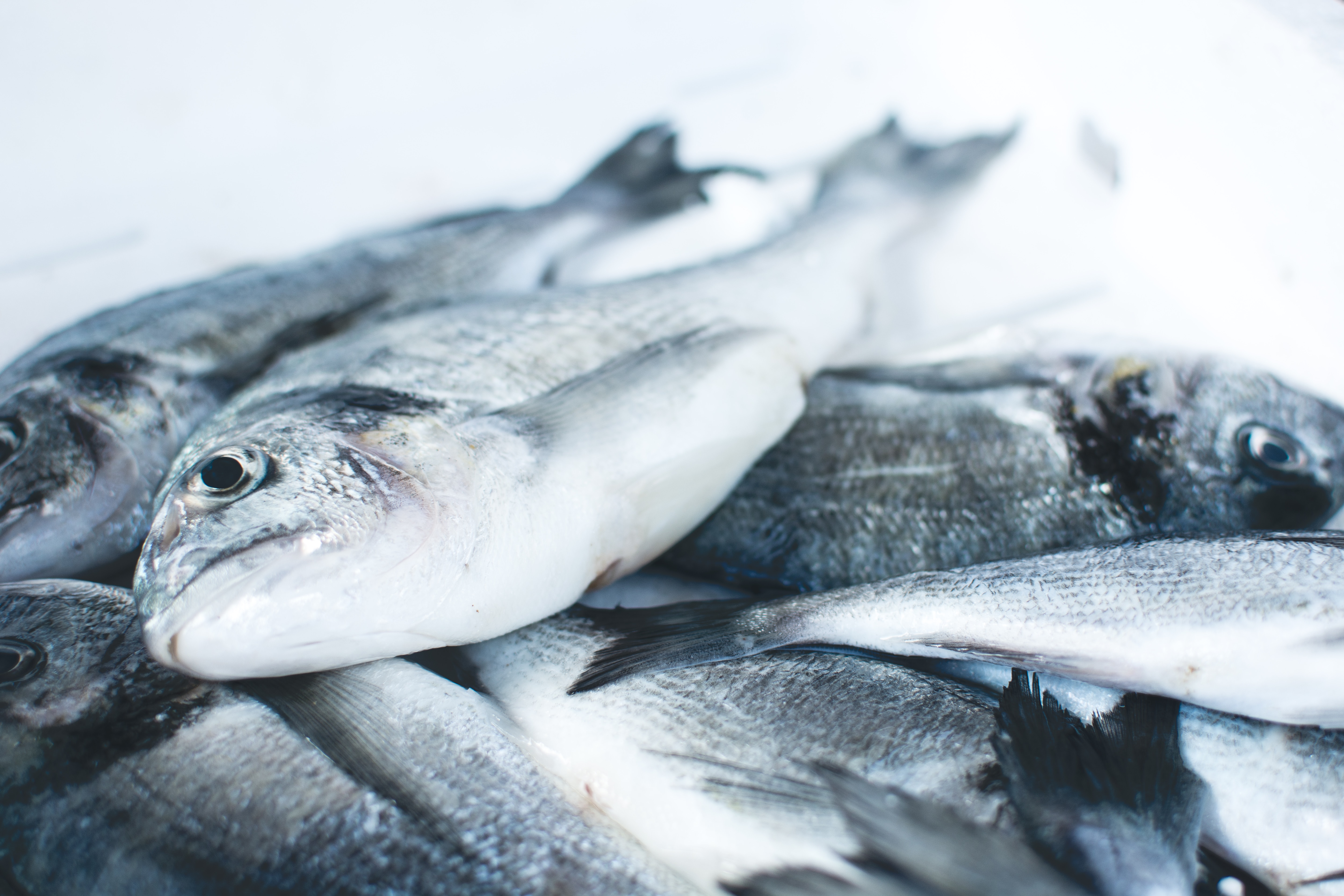 10-frozen-foods-you-shouldnt-eat-past-their-expiration-date