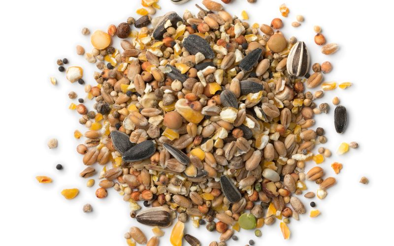 Mixed Bird Seed