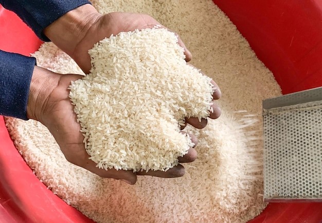 5 Tips for Choosing the Right Rice Wholesaler in UK